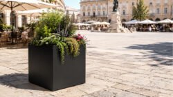 Schwarzer, quadratischer Pflanzkübel Alessio 4 aus Aluminium mit einer abwechslungsreichen Bepflanzung auf einem hellen, historischen Stadtplatz