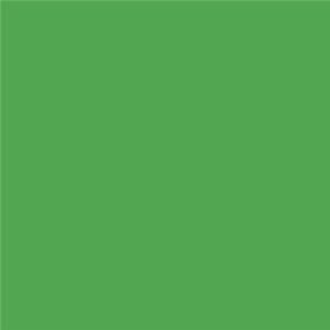 RAL 6018