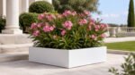 Weißer, niedriger Pflanzkübel Alessio 16 aus Aluminium mit blühendem Oleander auf einer hellen Steinterrasse im Garten