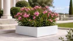 Weißer, niedriger Pflanzkübel Alessio 16 aus Aluminium mit blühendem Oleander auf einer hellen Steinterrasse im Garten