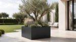 Schwarzer, großformatiger Pflanzkübel Alessio 17 aus Aluminium mit Olivenbaum, Lavendel, Ziergräsern und weißen Blüten auf einer hellen Gartenterrasse
