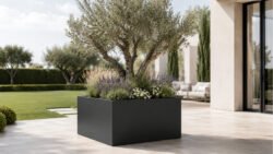 Schwarzer, großformatiger Pflanzkübel Alessio 17 aus Aluminium mit Olivenbaum, Lavendel, Ziergräsern und weißen Blüten auf einer hellen Gartenterrasse