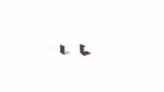LL Hochbeet Verbindungselement H300 aluminium und corten