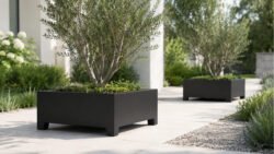 Zwei schwarze Apollo 12 Pflanzkübel aus Aluminium mit kleinen Bäumen auf einem hellen Gartenweg