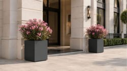 Zwei dunkelgraue Pflanzkübel Apollo 6 Mobile aus Aluminium mit rosa Oleandern vor einem hellen Gebäudeeingang, seitlich neben dem Durchgang platziert