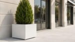Weißer Pflanzkübel Apollo 8 Mobile aus Aluminium mit einer dichten grünen Thuja seitlich vor einem hellen Geschäftseingang