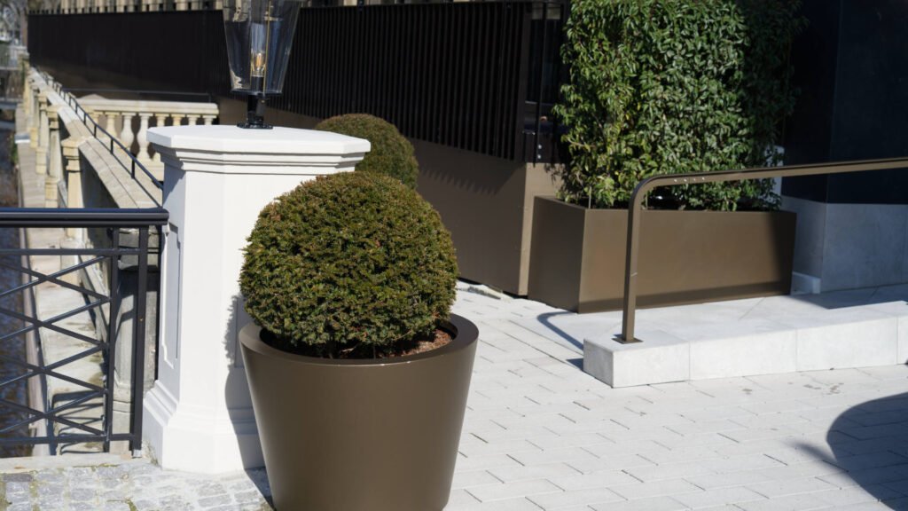 Hochwertige Pflanzkübel aus Aluminium in Anthrazit für den Außenbereich 2 Pflanzkübel Aluminium in Bronze mit kugelförmig geschnittenen Sträuchern vor modernem Gebäude.