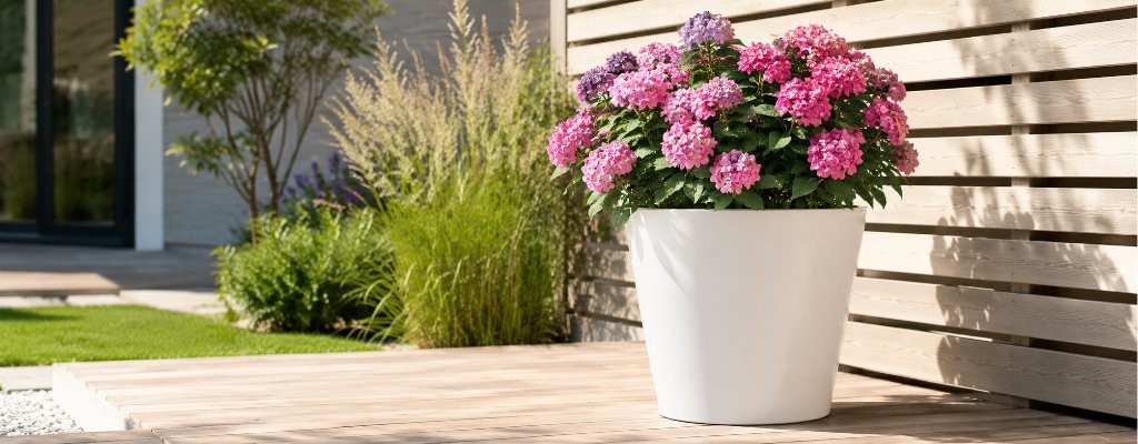 Weißer runder Aluminium-Pflanzkübel mit pinker Hortensie auf einer sonnigen Terrasse vor einem Zaun aus hellem Holz