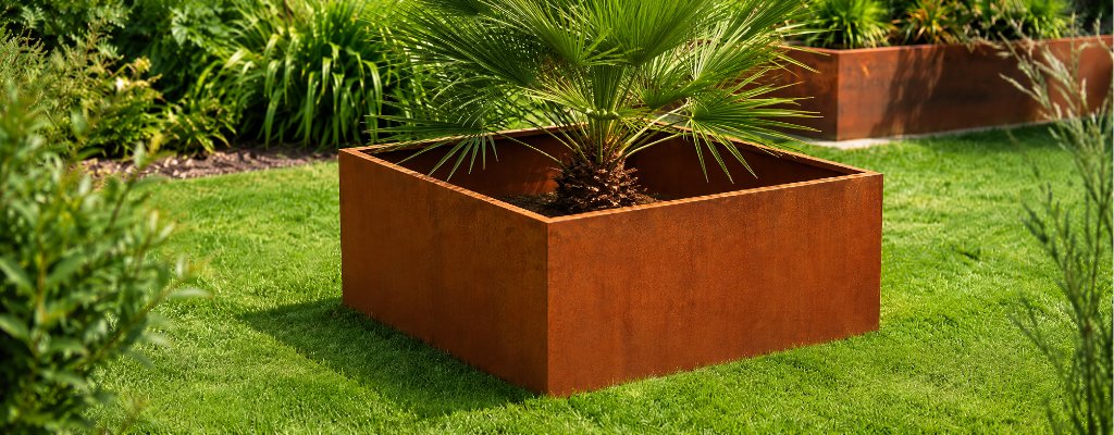 Quadratischer Pflanzk&uuml;bel ohne Boden aus Cortenstahl auf einer sonnigen Rasenfl&auml;che im Garten, bepflanzt mit einer kleinen Palme