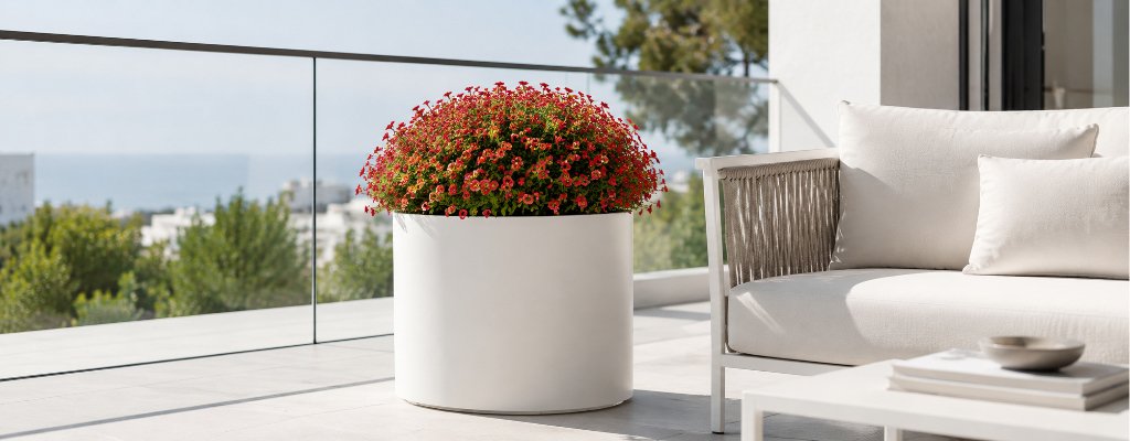 Aluminium-Pflanzkübel richtig reinigen und die Oberfläche schonend pflegen 2 Weiße Aluminium-Pflanzkübel Tiziano 2 mit roten Blumen auf einem modernen Balkon