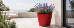 Blog 61 Roter Aluminium-Pflanzkübel Silvestro 3 mit Lavendel auf einer hellen Terrasse