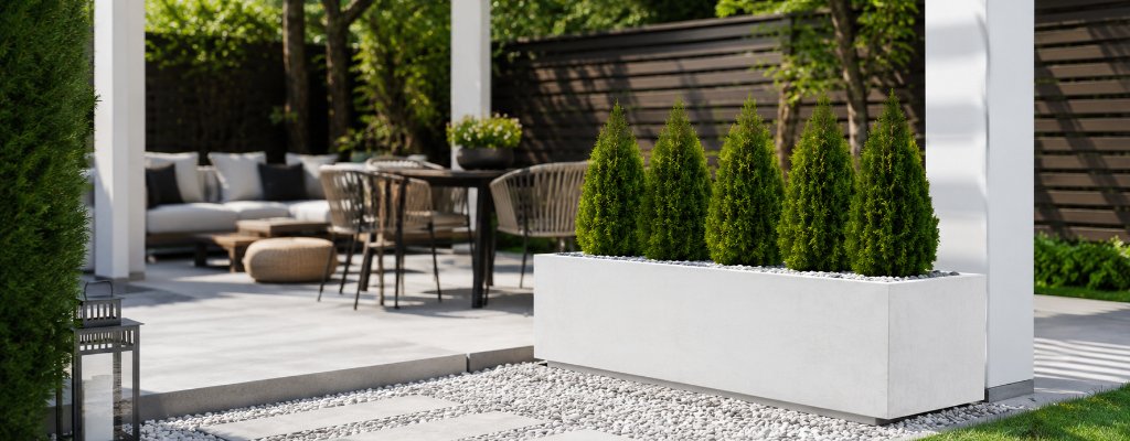 Pflanzkübel aus Beton richtig bepflanzen – Tipps für die passende Bepflanzung 3 Weißer Beton-Pflanzkübel Geraldo 8 mit kleinen Thuja-Pflanzen in einer offenen, modernen Gartenlaube