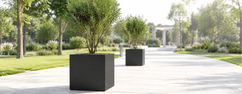 Welche Größe und Form sollten Pflanzkübel aus Fiberglas für den Außenbereich haben? 2 Schwarze Pflanzkübel Camilio 1 aus Fiberglas mit kleinen grünen Bäumen auf einem hellen Parkweg