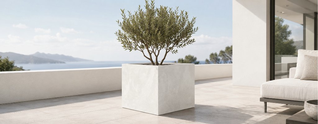 Große Pflanzkübel als Sichtschutz und Raumteiler für Terrasse und Garten einsetzen 2 Sara Pflanzkübel in weißer Betonoptik mit kleinem Olivenbaum auf einer hellen Terrasse